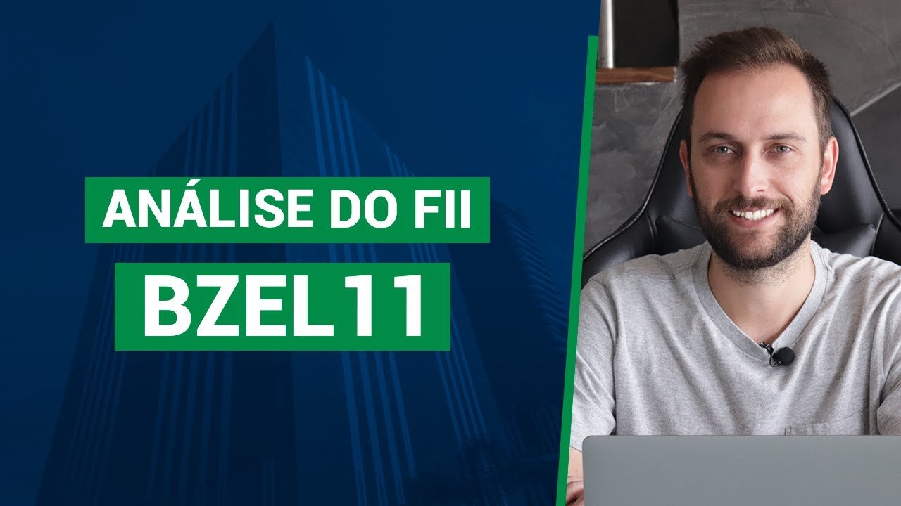 BZEL11: vale a pena aderir à oferta? Análise dos ativos com dados históricos e localização