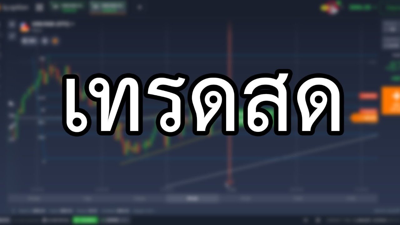 IQ OPTION เทรดสด Vol.98 | เทรดรอบดึก