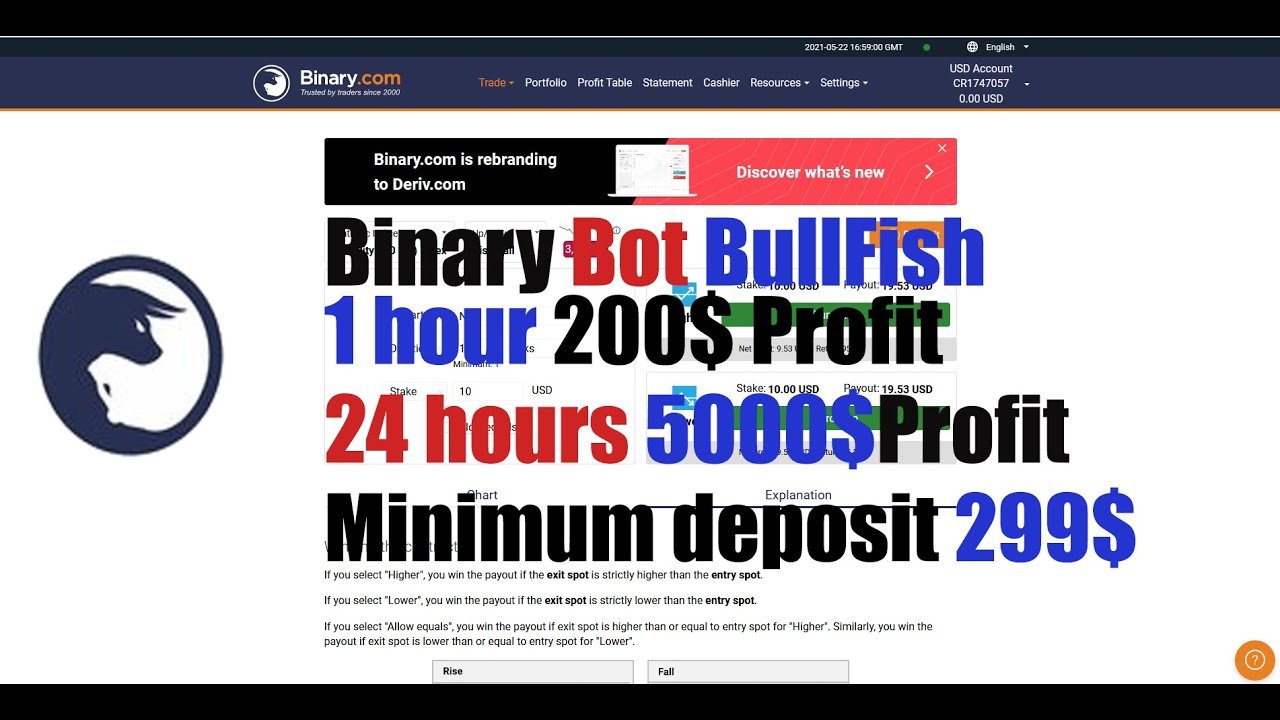 Deriv bot binary options 3 minutes best profitable strategy 100% 1 hour,Bot BullFish