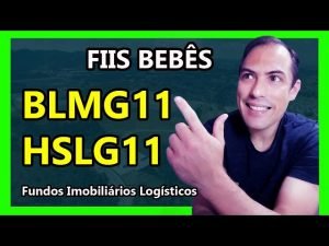 BLMG11 – HSLG11 – Fundos Imobiliários novos e rentáveis