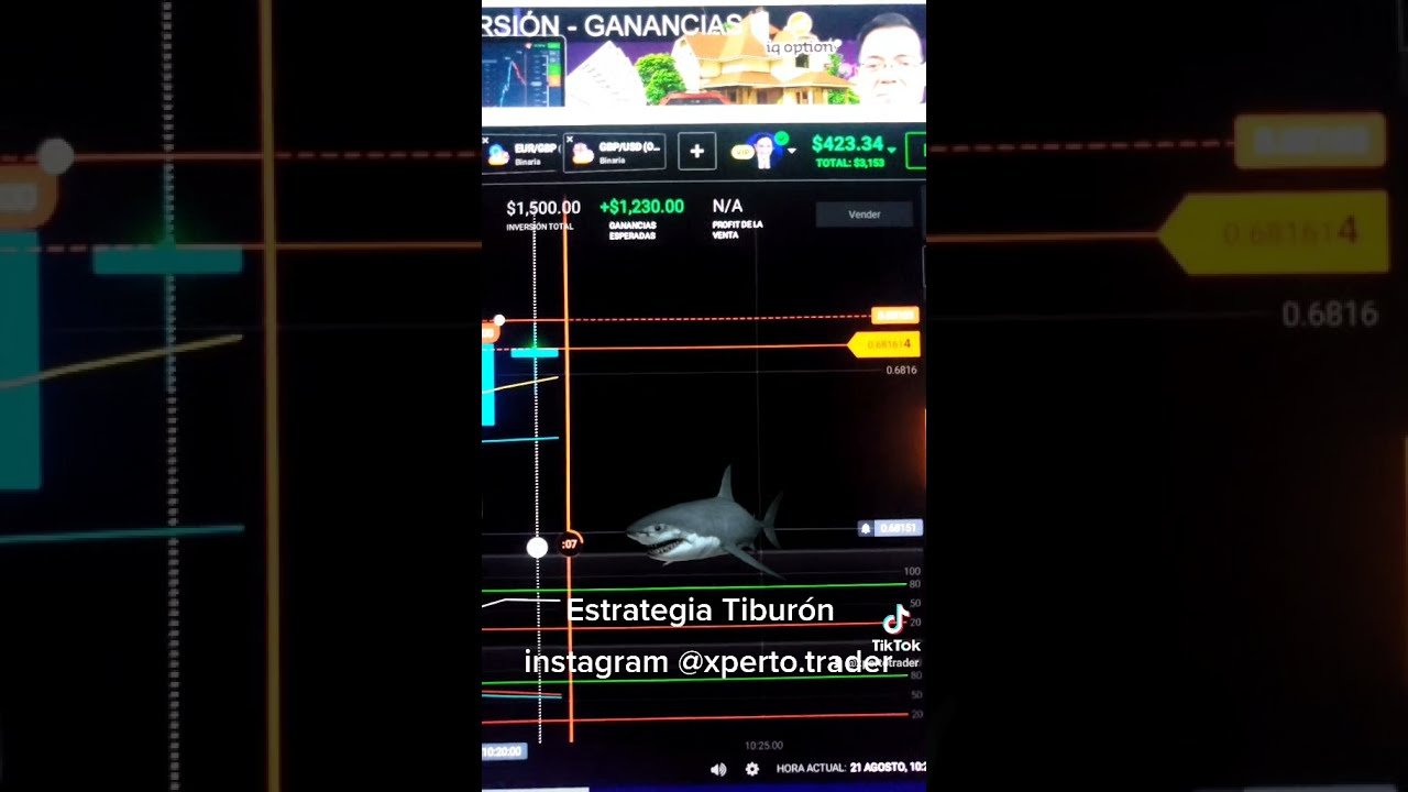 IQ Option Estrategia Tiburón Nivel Megalodón Gestión Avanzada || Xperto Trader