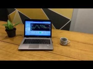 Como funciona o combo robo forex trader