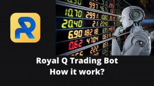 RoyalQ Working plan 100% proven concept semi Robo trade