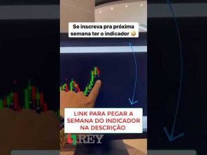 Indicador Guilherme Augusto – Indicador Rey do Money Trader