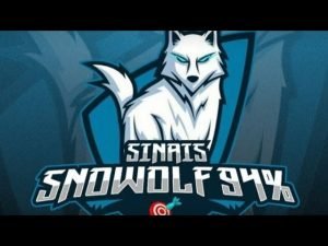 Sala do Snowolf 94% – Sala de Sinais – IQ Option – Será que Funciona?