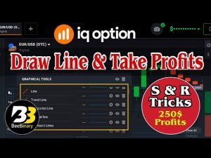 Draw Line & Take Profits | S & R Tricks | IQ Option Tamil | BeeBinary