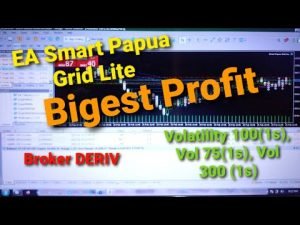 Bigest Profit with EA Smart Papua Grid Lite Broker Deriv All Volatility