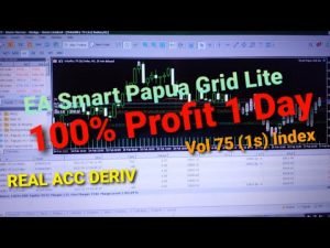 Profit 100% only 17 Hours with Smart Papua Grid Lite, Broker DERIV