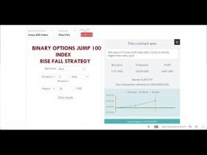 Binary options Jump 100 index deriv rise fall earning strategy Make 95% every 2 seconds