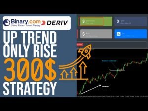 Only rise strategy with Analysis for Beginners | Binary.com | Deriv.com Auto Trading Bot