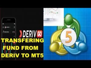 SIMPLE STEP BY STEP ON HOW TO TRANSFER FUND YOUR DERIV SYNTHETIC  ACCOUNT TO METETRADER 5 (MT5)