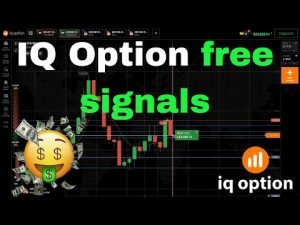 Live trading iq option – IQ Option free signals