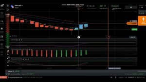 IQ Option Trading Coaching, strategies, risk management