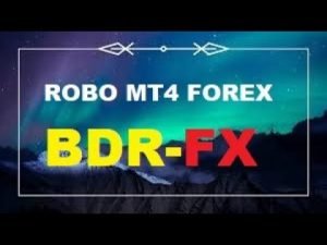 Robo Forex Trader BDR-FX Fez 5.995 Dolares 30.654 Reais Até Dia 24 agosto 2022 15% Da Banca