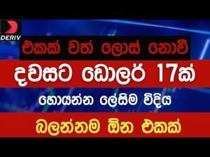 Binary | Deriv Rise/Fall 100% Wining Strategy Sinhala | NO LOSS