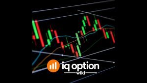 ROBO IQ OPTION MARCHINE LEARNING TRAINING DAY 5