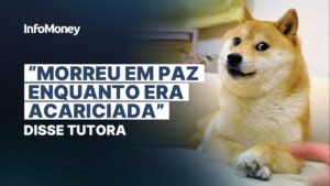 KABOSU, a cachorrinha de US$ 23 bilhões, morreu nesta sexta