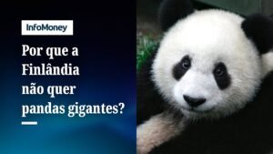 Por que a Finlândia devolveu pandas gigantes à China?