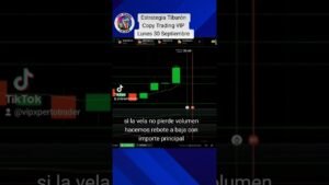 Altamente Efectiva Estrategia Tiburón Copy Trading VIP en Vivo Opciones Digitales Iq Option