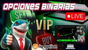 🔴TRADING OPCIONES BINARIAS🔴 ESTRATEGIA TIBURÓN SESIÓN GRUPO VIP || IQ OPTION