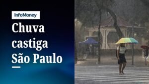 São Paulo teve 65% da chuva esperada para fevereiro em dois dias