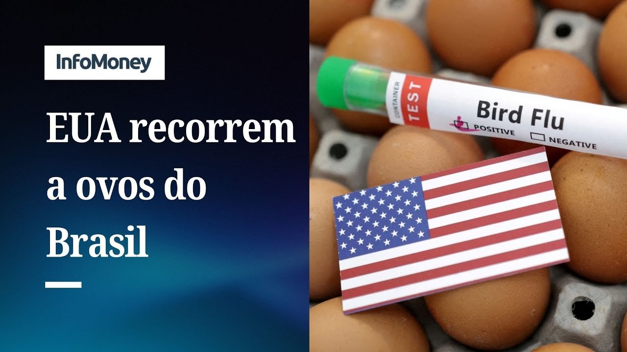Os EUA quase dobraram as importações de ovos do Brasil