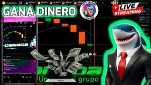 Semana GANADORA Copy Trading en Vivo Estrategia Tiburón IQ OPTION