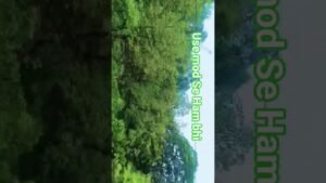 #deriv #hindisong #love #song #youtubeshorts #travel