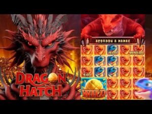 DRAGON HATCH 2 ESTÁ MUITO MELHOR QUE O ORIGINAL!! ESTOU FORRANDO MUITO NESSA PLATAFORMA!!