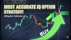 Simple Alligator Indicator Strategy for Beginners | IQ Option & Binary Platforms