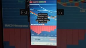 Liu e Léo – Meu passado DAY TRADE no Simulador