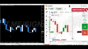 100% Win Rate? Testing SIGNAL XPERT Indicator on IQ Option