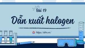 Dẫn xuất halogen (phần 1) – Hóa Học 11