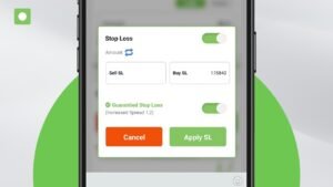 Day Trade Ticket: Guaranteed Stop Loss