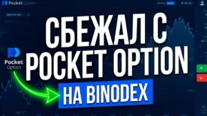 СБЕЖАЛ С POCKET OPTION НА BINODEX | ЛУЧШАЯ ПЛАТФОРМА ДЛЯ ТРЕЙДИНГА В 2026 ГОДУ