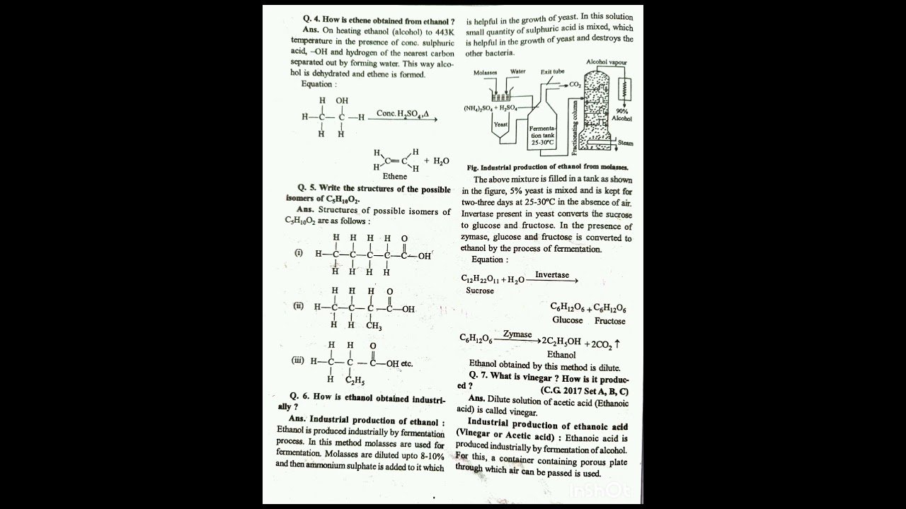 Derivatives of Hydrocarbons chapter 16 class 10th all questions answers CG bord English medium