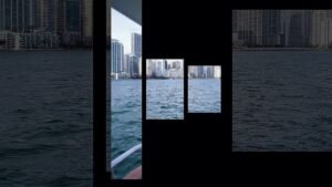 Jour J ! Today is the big day…  #trading #miami #xeilos