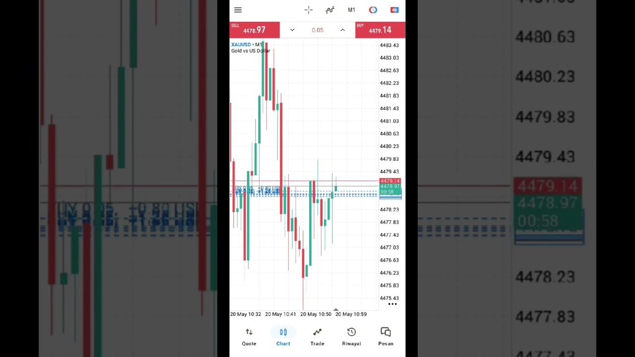 MT5 Developer-Forex Robot Developer-Algorithmic Trader