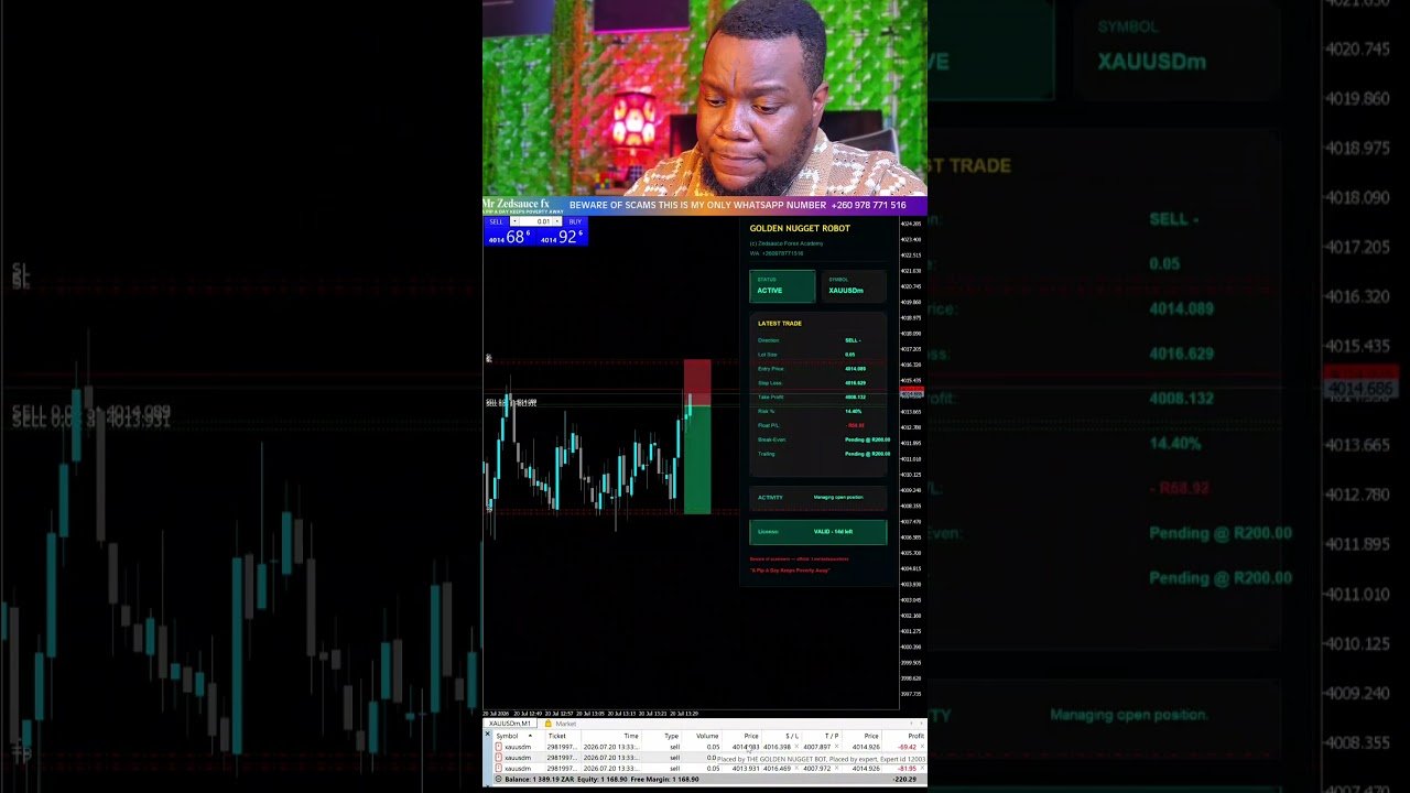 The golden nugget trading robot 🤖
