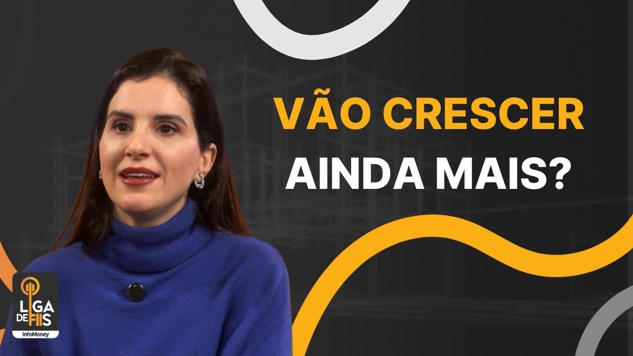 FIIs podem conquistar fatia cada vez maior das carteiras dos brasileiros, diz B3 | Liga de FIIs