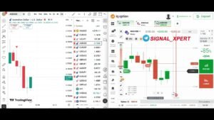 MT4 99.9% Accuracy Binary Option Indicator | Live IQ OPTION Live Trading | SIGNAL XPERT TRADING VIEW