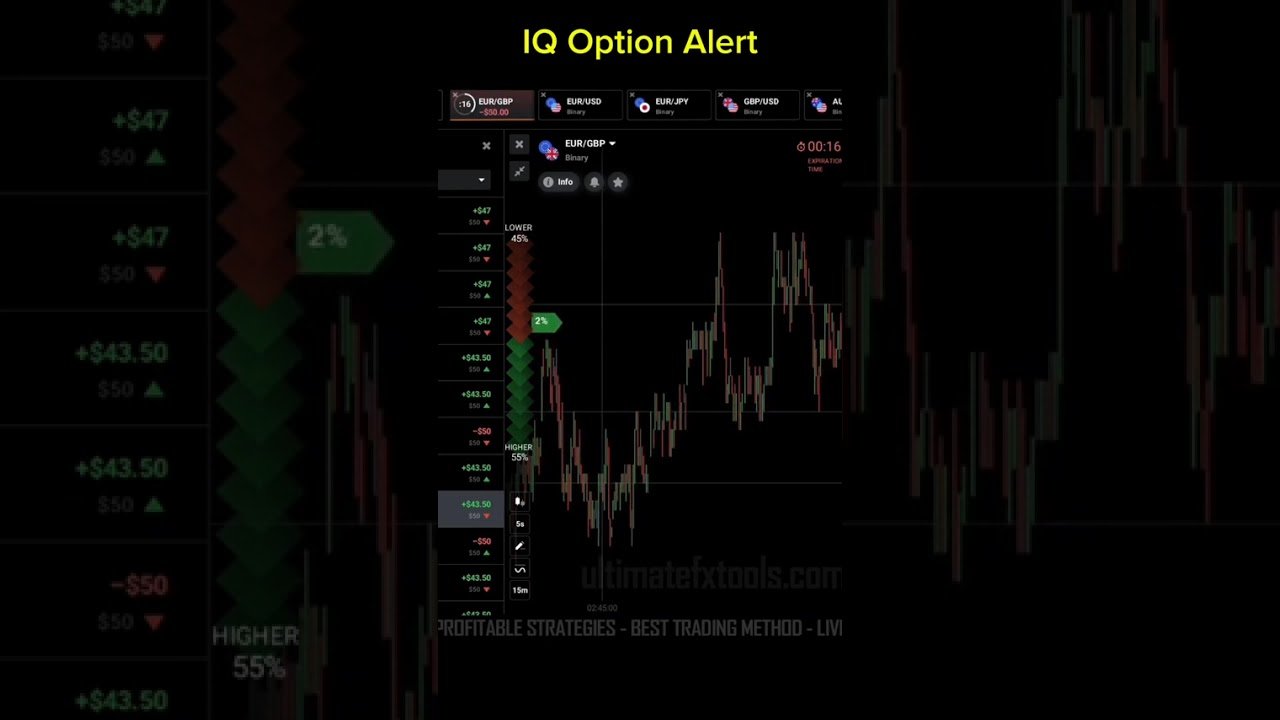 IQ Option Alert Trading Settings. With Velocity X Indicator. #Shorts #ultimatefxtools